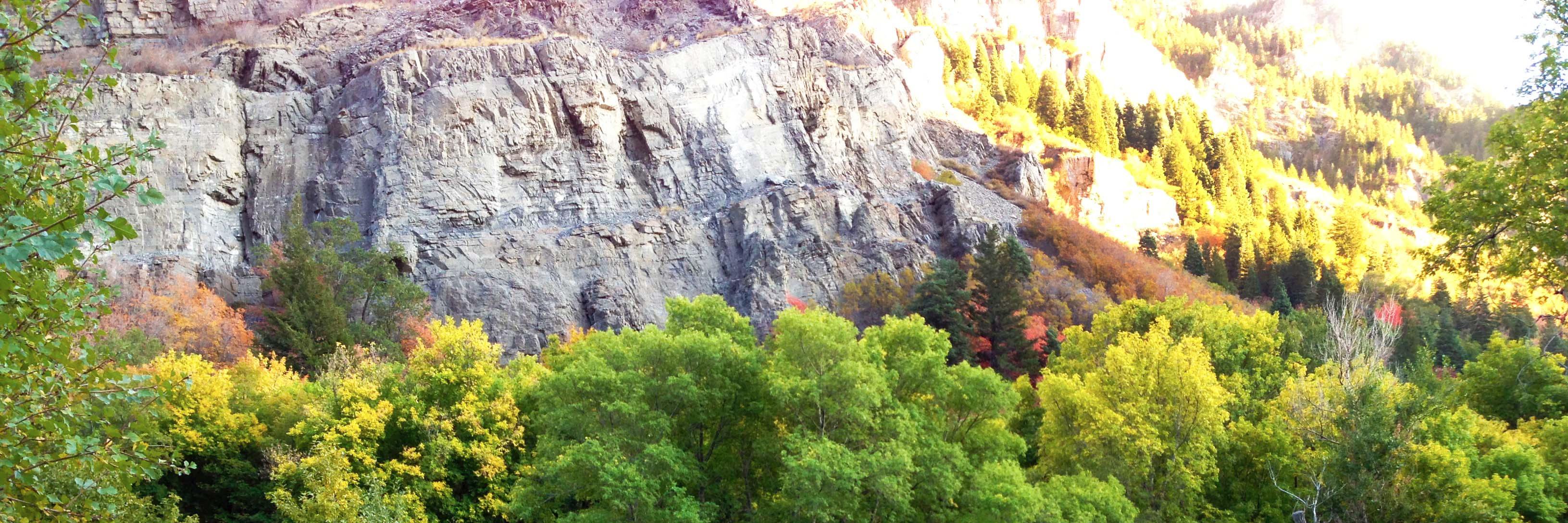 rachelccool's profile banner image