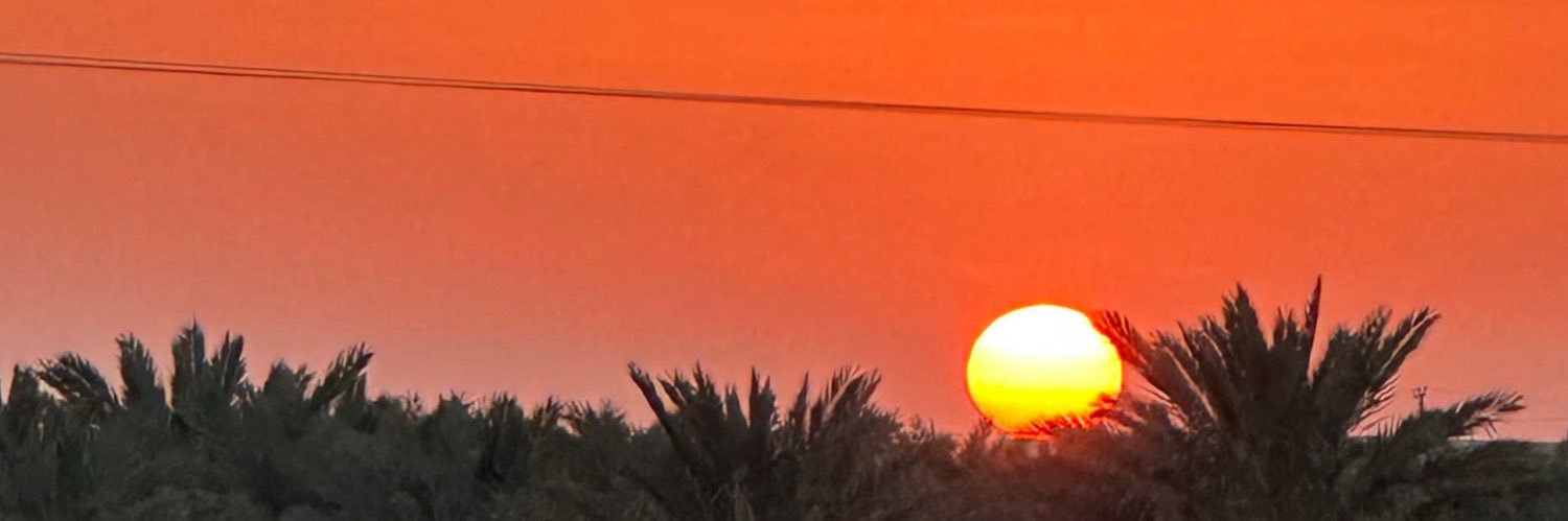 الأديب banner