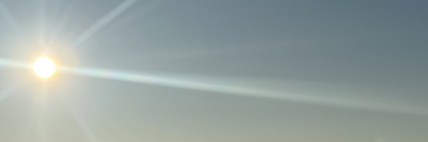 Meowds❤🤍💙🇺🇸🇺🇸🌹🦅 banner