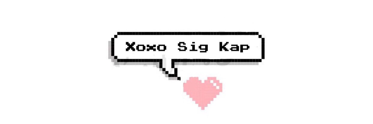 UTK Sigma Kappa banner