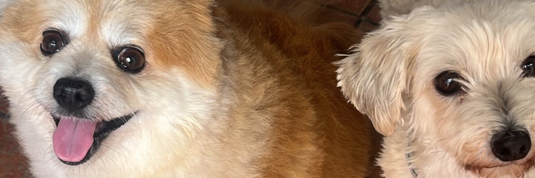 krespineta's profile banner image