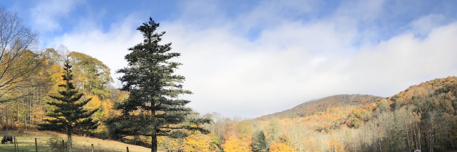 AndreaMcTweets's profile banner image