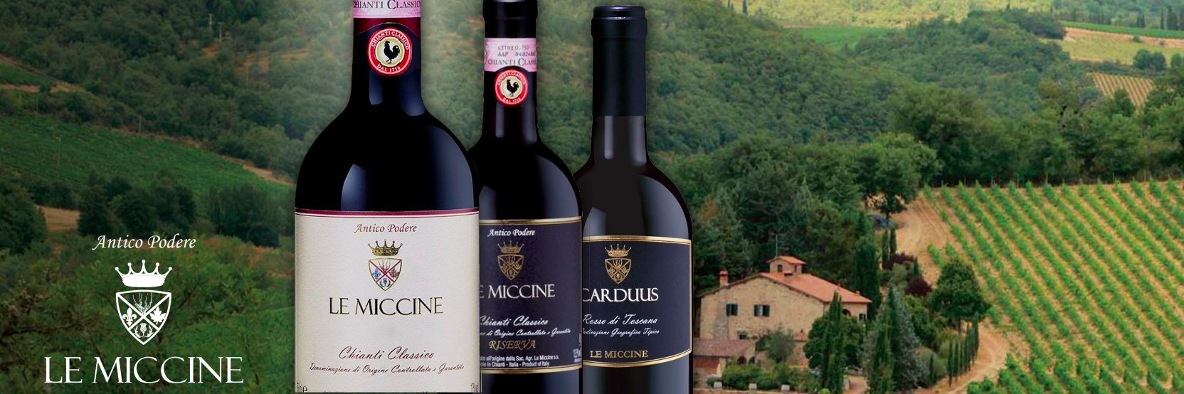 MICCINE's profile banner image