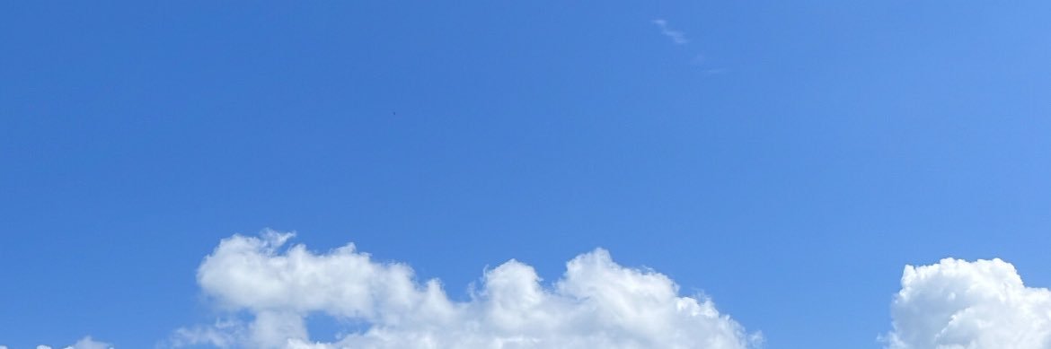 BeccaLilyM's profile banner image