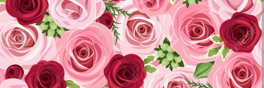 anitacolazo's profile banner image