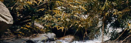 LukeCBBS's profile banner image