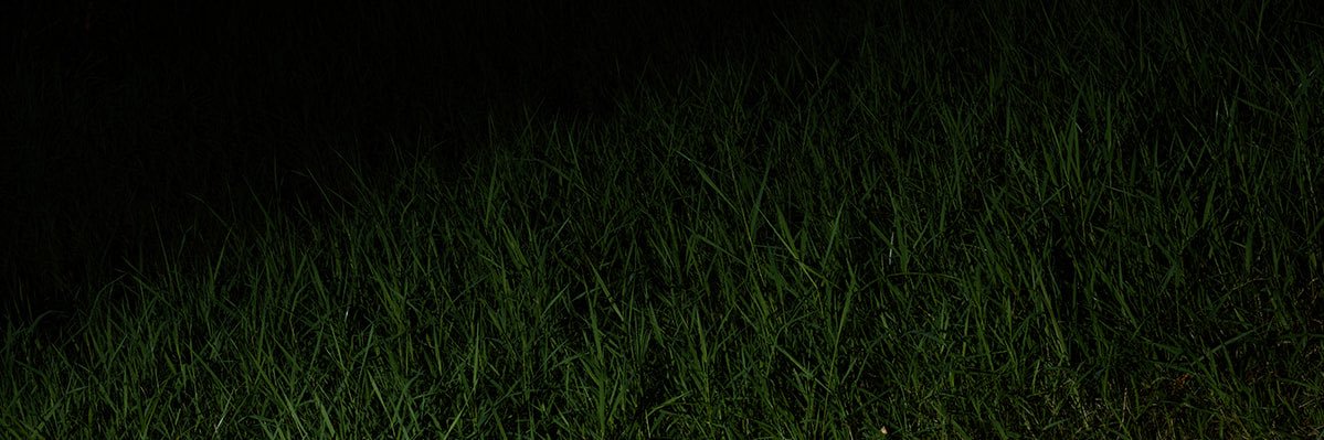 nownowband's profile banner image