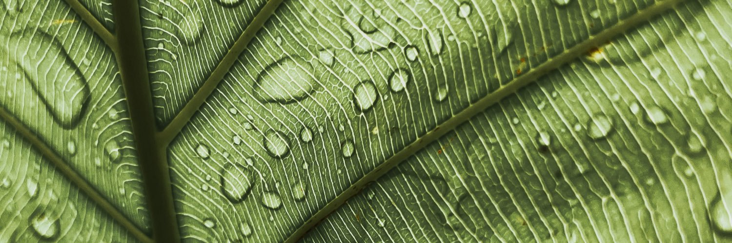 Daniel Areiza ⚠️ banner