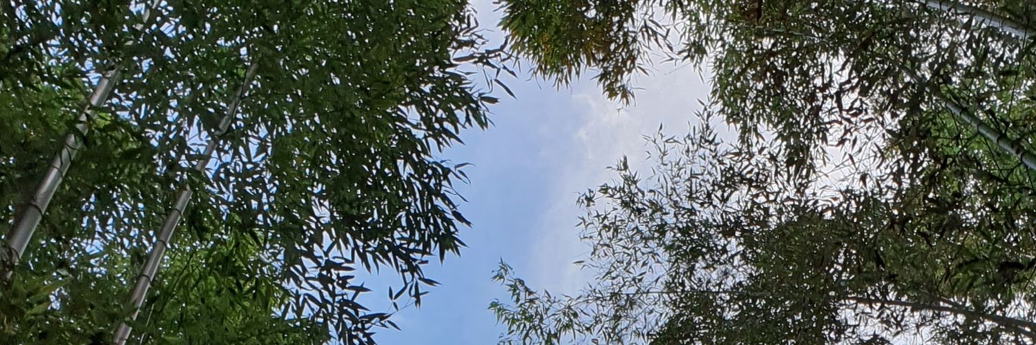 isletrca's profile banner image
