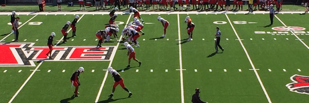 Ernesto Alfaro banner