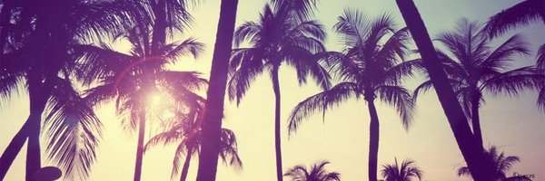 Soutto Profile Banner