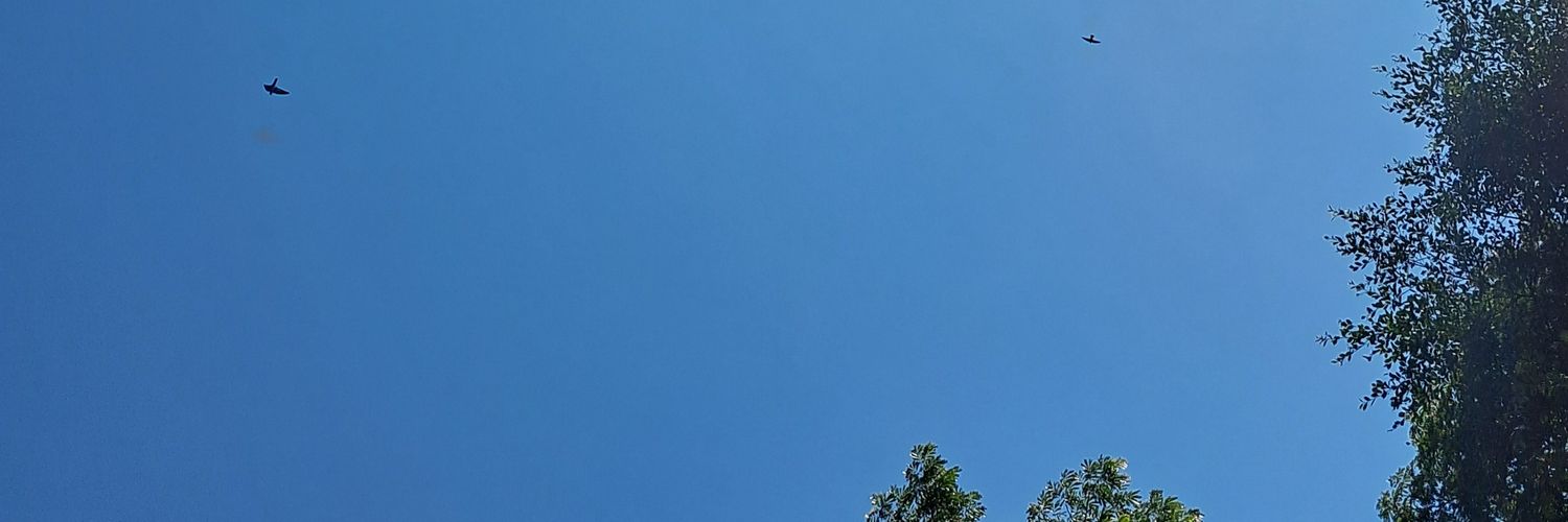 ebelianty's profile banner image