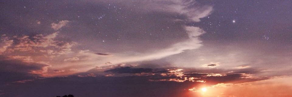 davidscasey's profile banner image