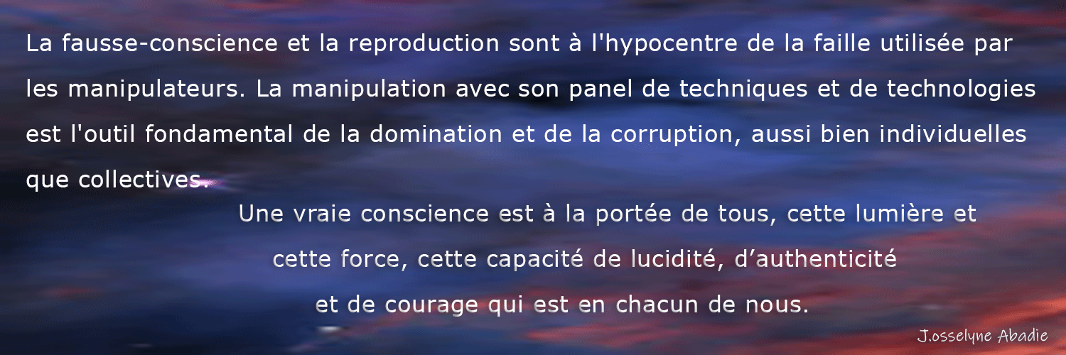 Josselyne Abadie banner