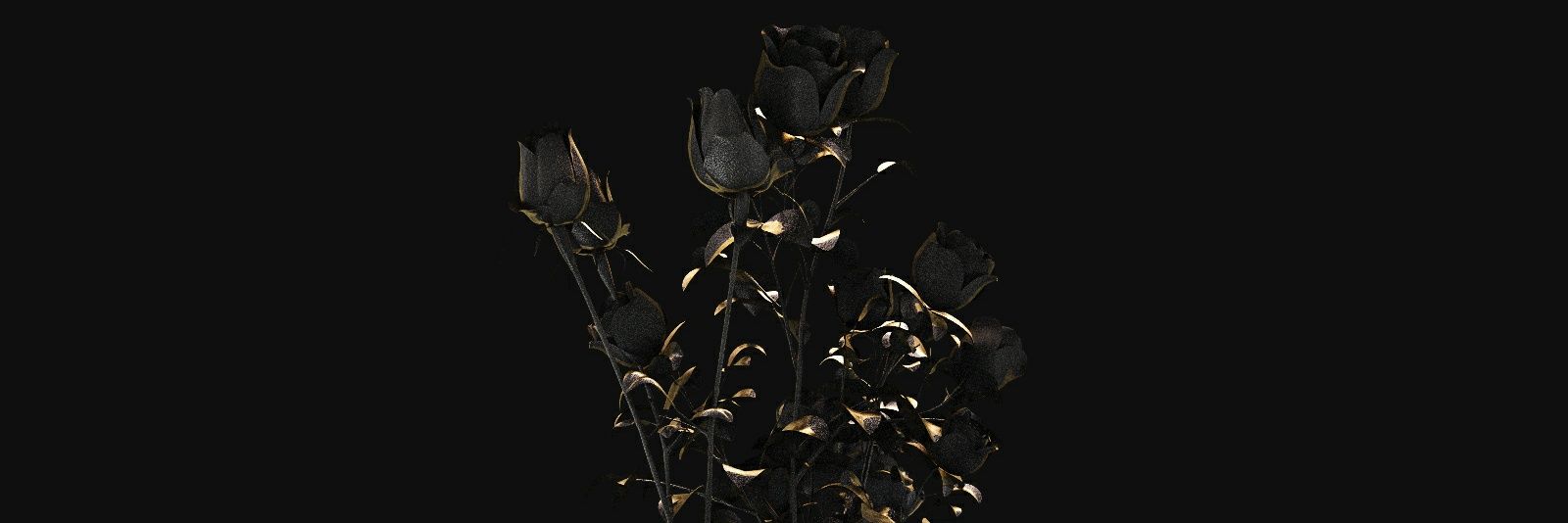 mrwkenzo's profile banner image