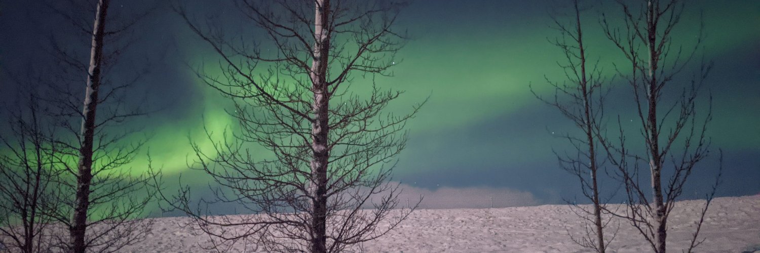 Beth Adele Long banner