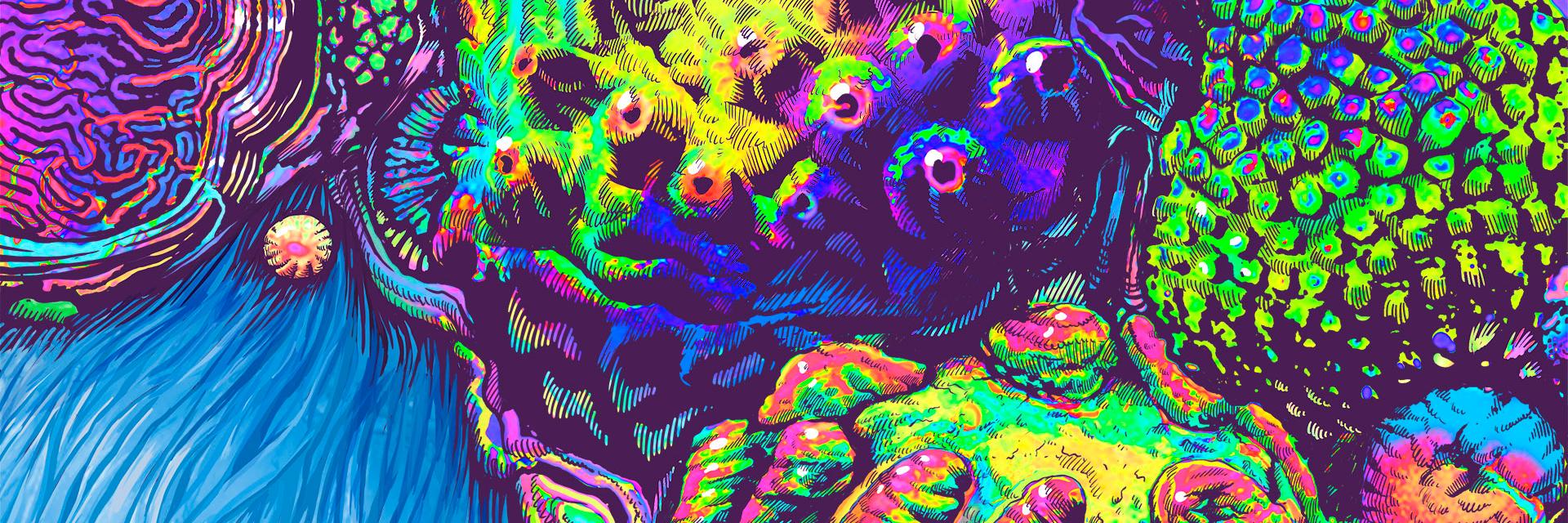 dveinbcn's profile banner image