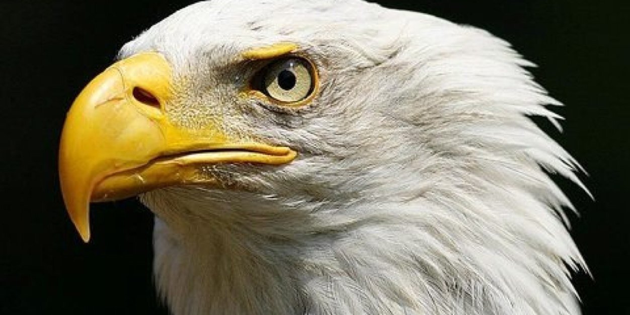 HaroldSackey's profile banner image