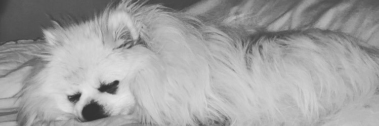 MarieScpt's profile banner image