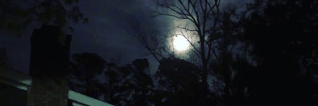 Moon_Gypsy524's profile banner image
