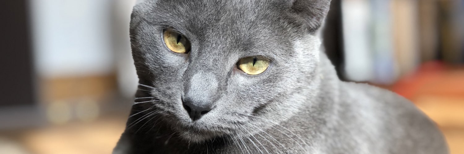 ChubbyVictor's profile banner image
