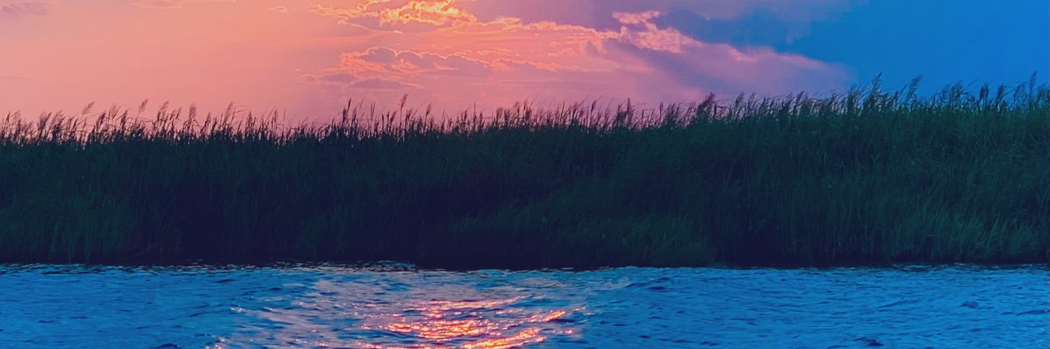 Shaina_Drew's profile banner image