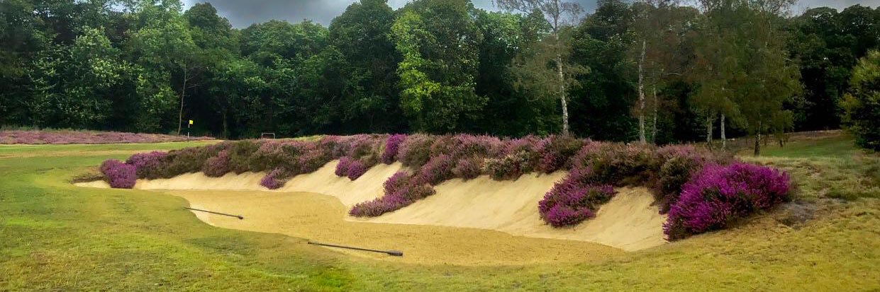 𝑀𝒶𝓉𝓉 𝒫𝓁𝑒𝓈𝓉𝑒𝒹 banner