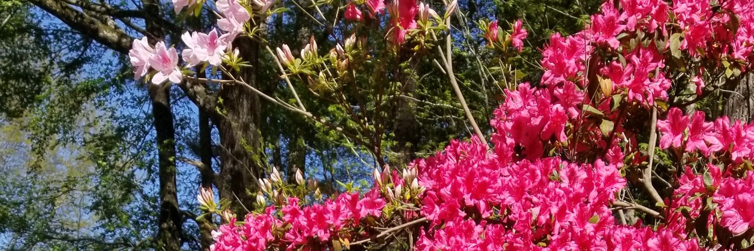 AnnaHowell04's profile banner image