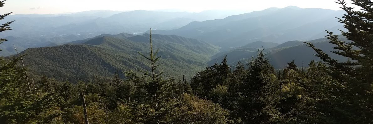 davidisanumber's profile banner image