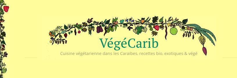 Vegecarib's profile banner image