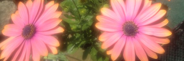 greatestjoy Profile Banner