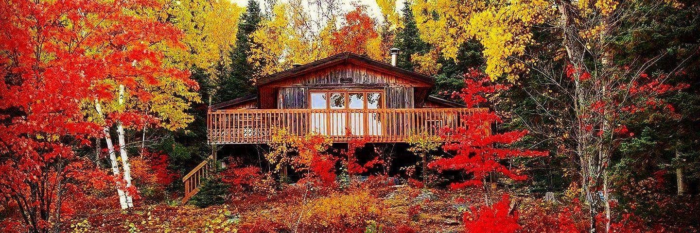 Adam Ravenhill banner