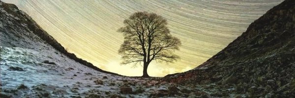 DrAnnaLlewellyn Profile Banner