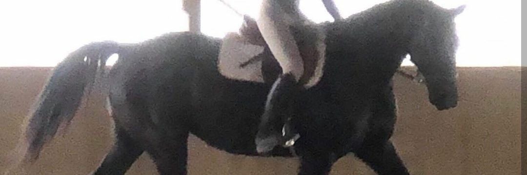 Alexandra Wedd McGoey⏳ #PardonAssange banner