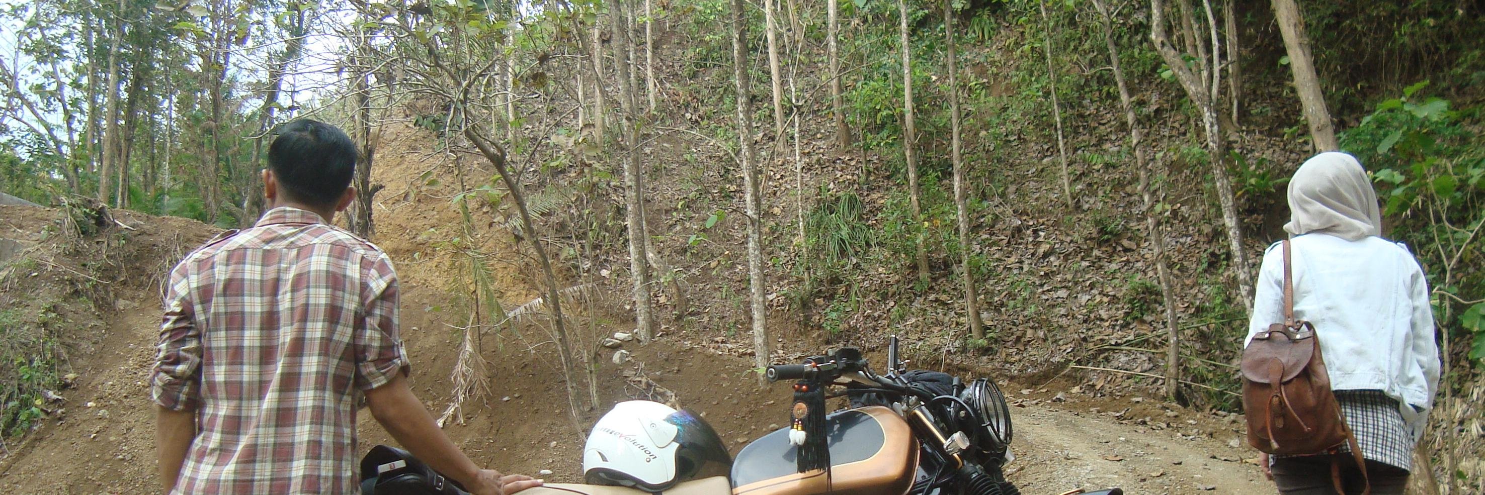 viani_putri's profile banner image