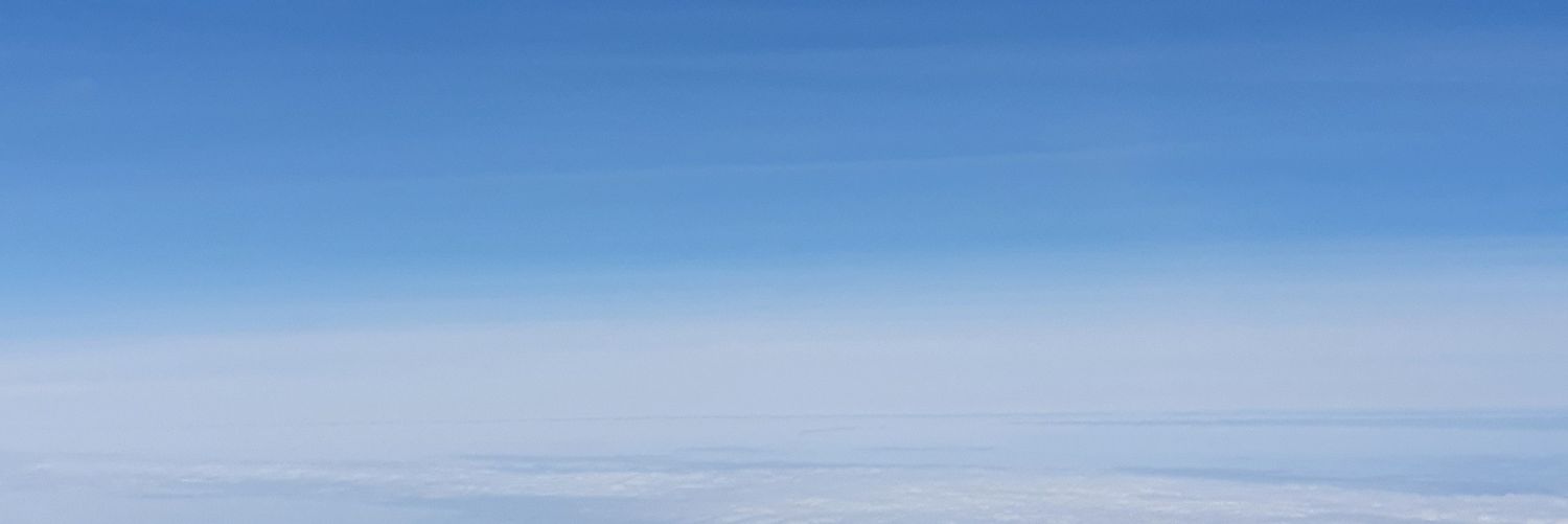 Michelle banner