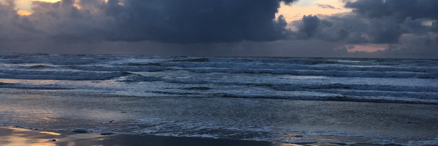 SaraJEdmonds's profile banner image