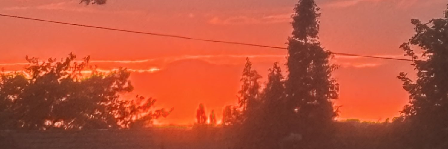 Emzi_Ox's profile banner image