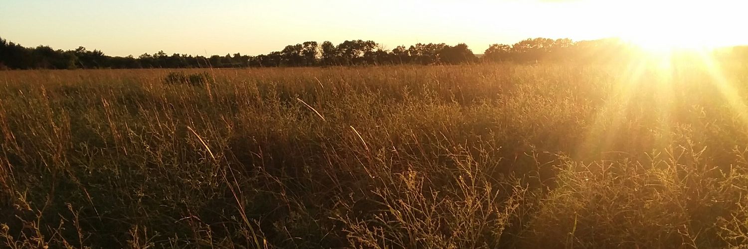 ally_ns's profile banner image