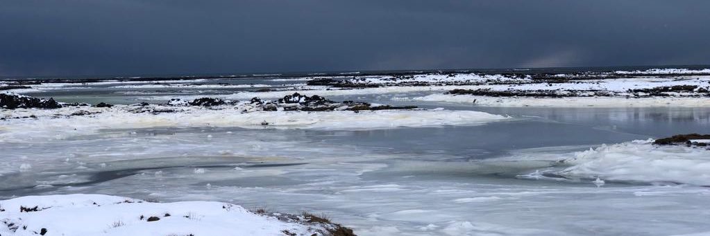 Alejandro Cruz de Fiasco banner