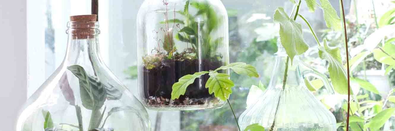 Judith Baehner banner