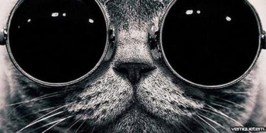 BelleAlves_'s profile banner image