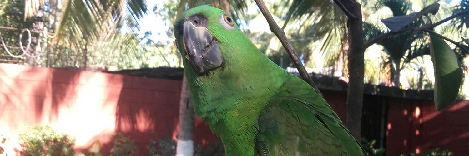 jeescobar12's profile banner image