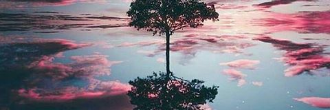 _caslanegra's profile banner image
