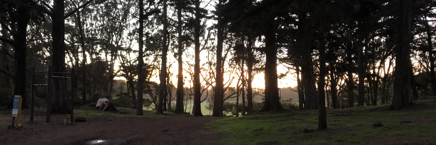 Colin Downs-Razouk banner