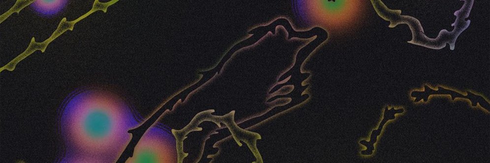 arootootoo's profile banner image