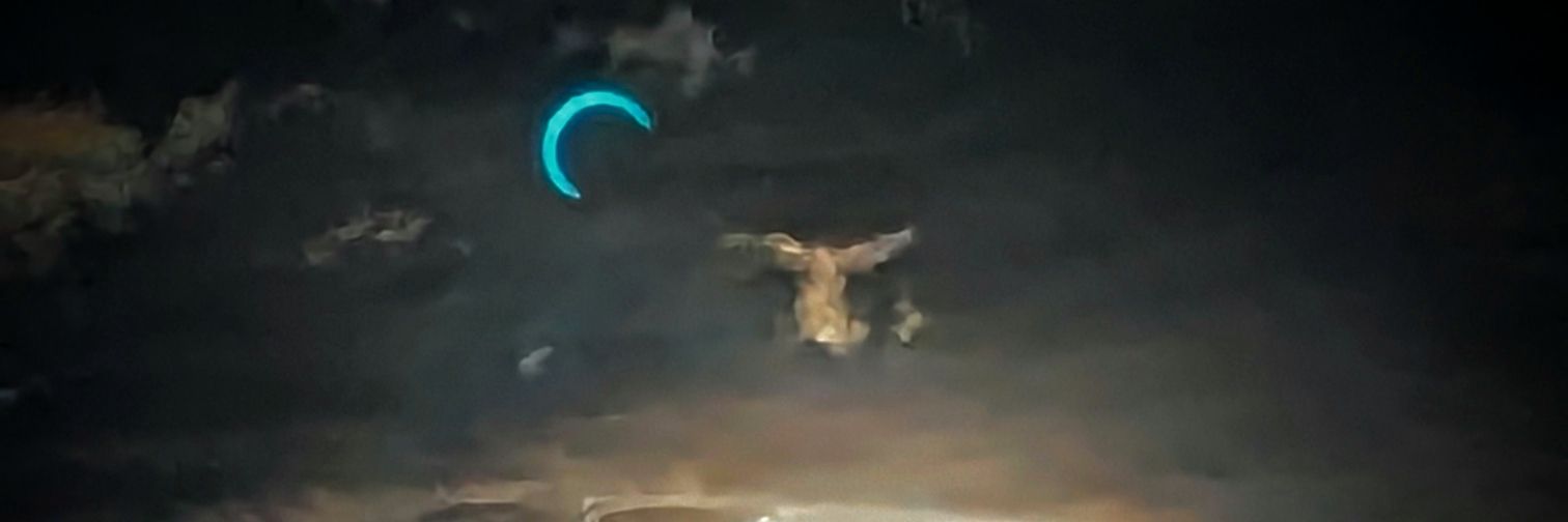 Mike Lambson banner