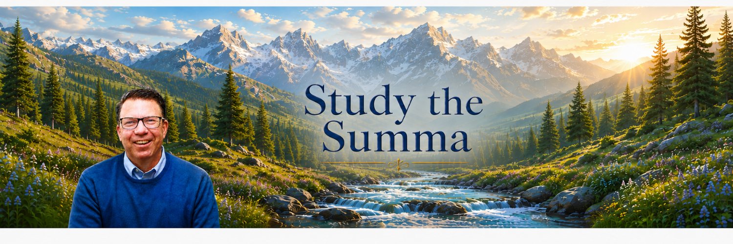 thethomist's profile banner image