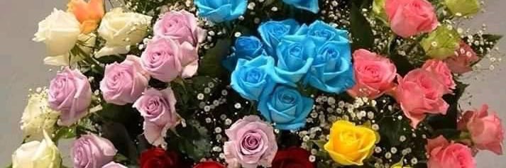 __Princess__Q's profile banner image