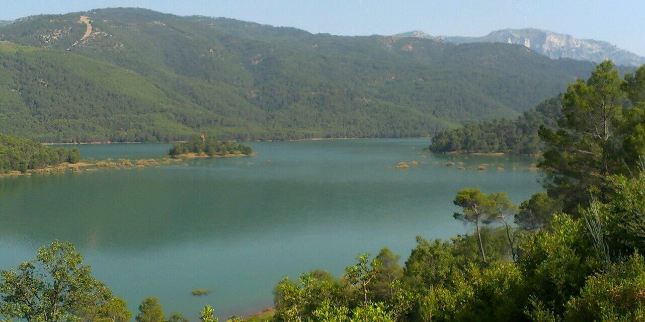 Pedro J. Rodríguez banner